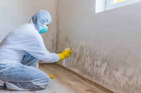 Best Mold Documentation for Insurance Claims  in Saylorville, IA