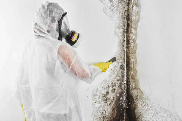 Best Forensic Mold Investigation  in Saylorville, IA